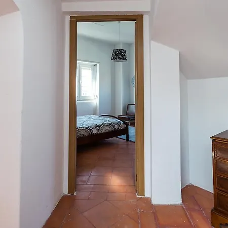 Lux Dinastia Lissabon